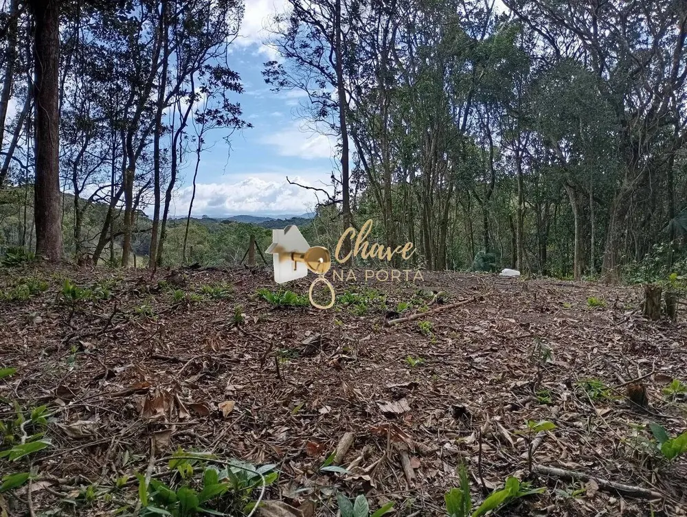 Terreno, 6462 m² - Foto 1