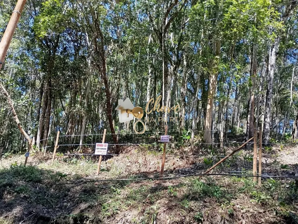 Terreno, 6462 m² - Foto 4