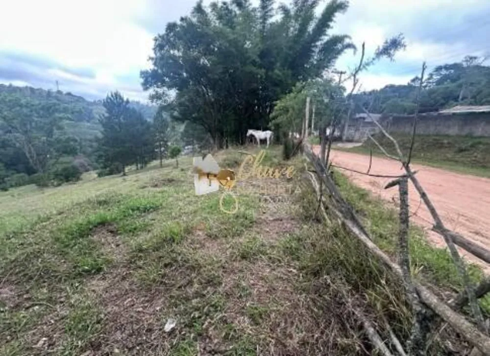 Terreno, 1500 m² - Foto 7