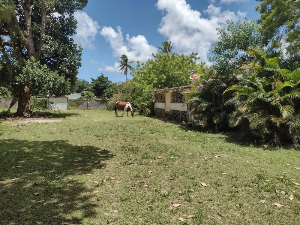 Terreno, 10000 m² - Foto 17