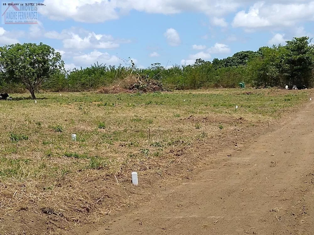 Terreno à venda, 50000m² - Foto 4