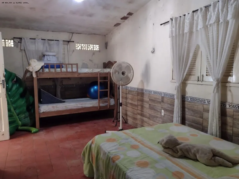 Sítio, 4 quartos, 10000 m² - Foto 4