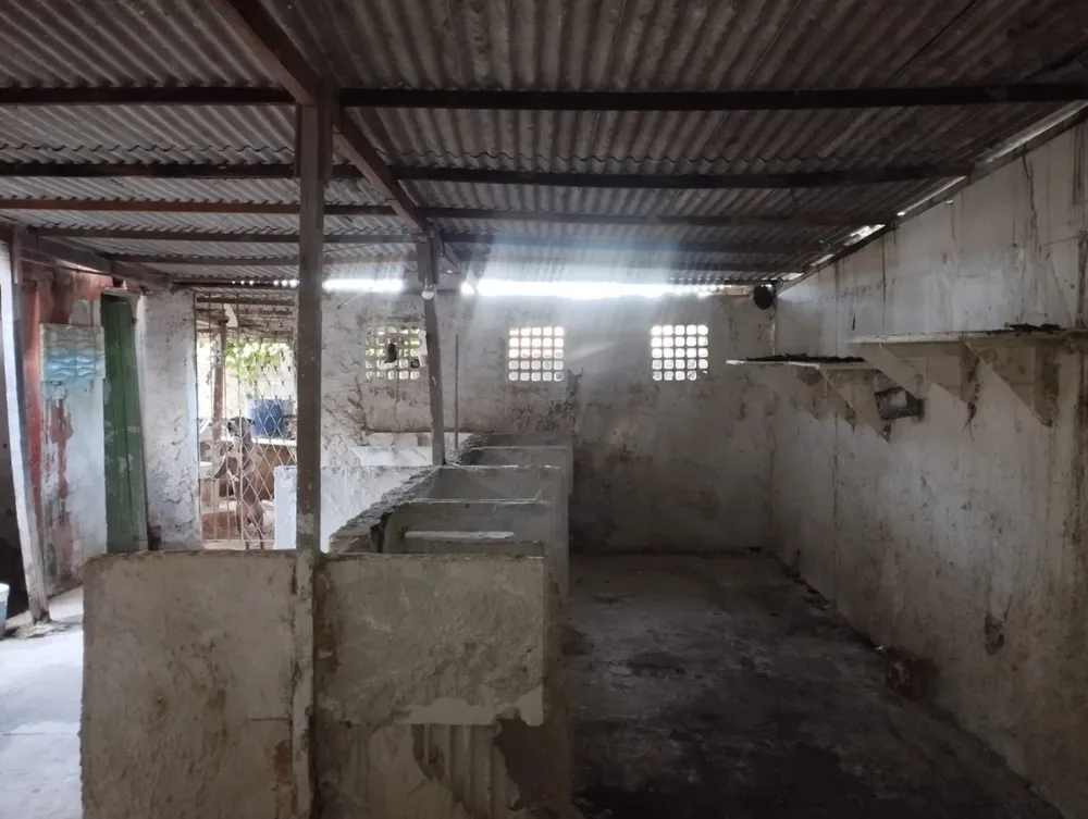 Prédio Inteiro, 78 m² - Foto 11