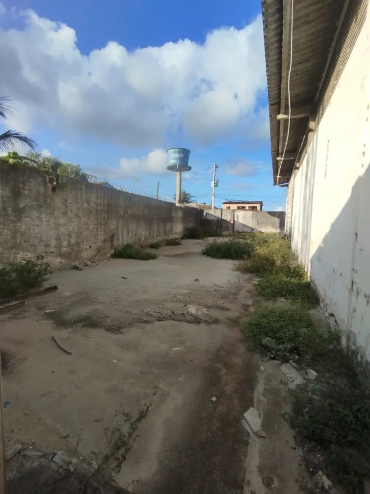 Depósito-Galpão, 1000 m² - Foto 4