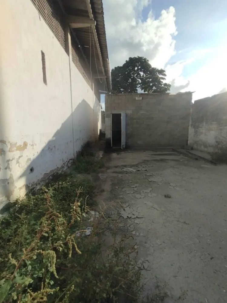 Depósito-Galpão, 1000 m² - Foto 2