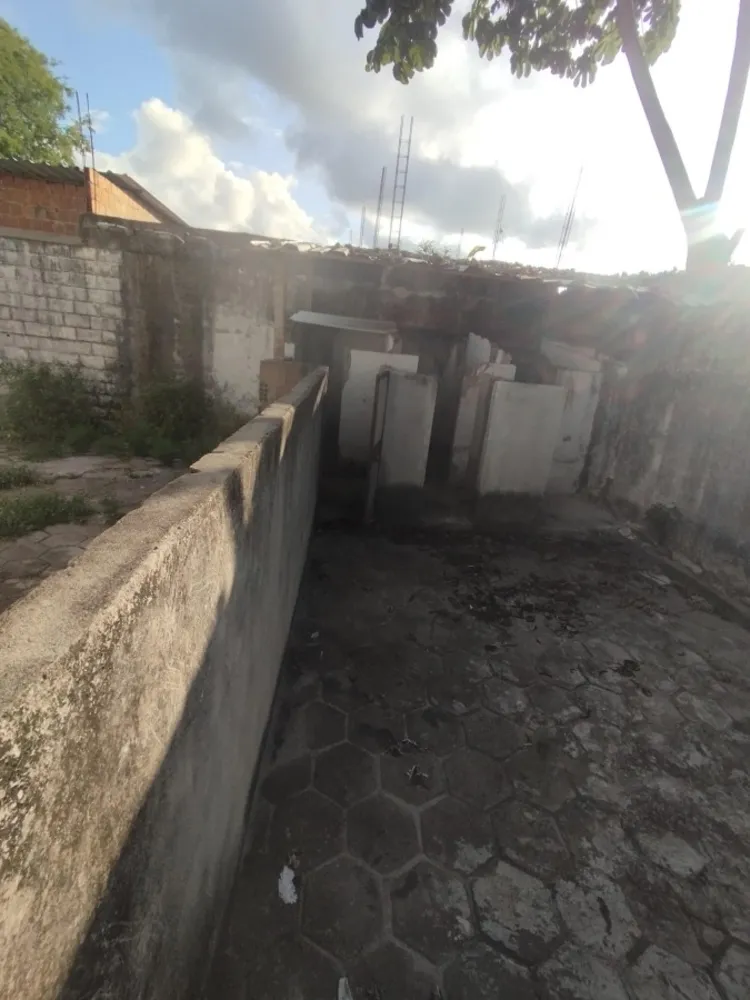 Depósito-Galpão, 1000 m² - Foto 3