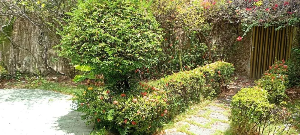 Casa, 5 quartos, 189 m² - Foto 14