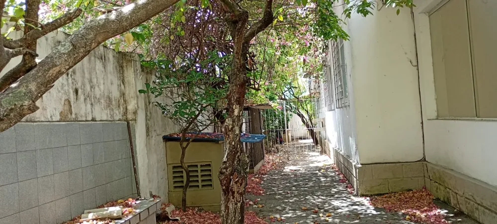 Casa, 5 quartos, 189 m² - Foto 13