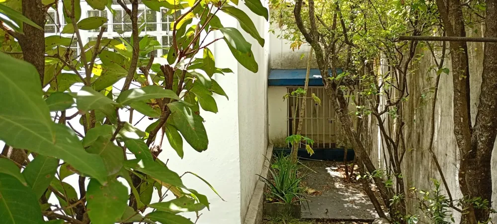 Casa, 5 quartos, 189 m² - Foto 12