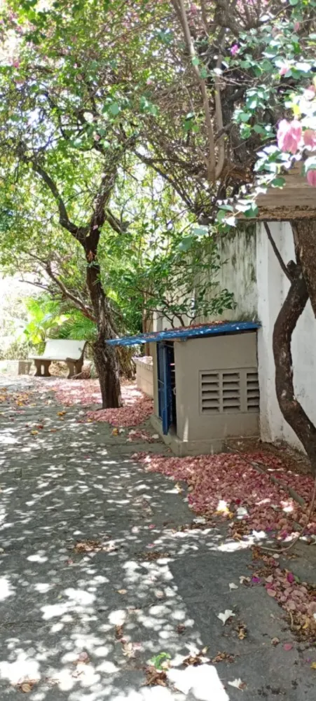 Casa, 5 quartos, 189 m² - Foto 10