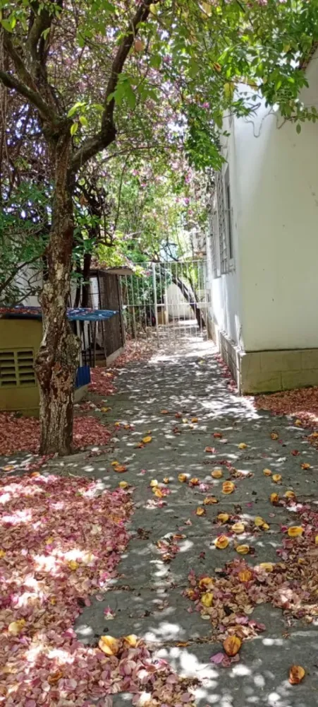 Casa, 5 quartos, 189 m² - Foto 11