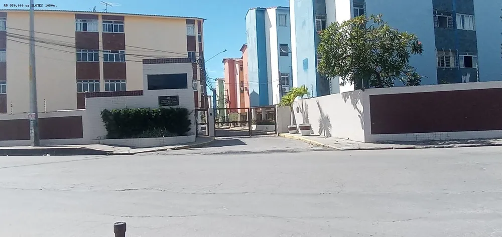 Apartamento, 3 quartos, 75 m² - Foto 14