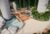 Apartamento, 2 quartos, 70 m² - Foto 8