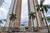 Apartamento, 3 quartos, 260 m² - Foto 6