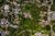 Terreno, 10247 m² - Foto 3