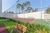 Terreno, 265 m² - Foto 8