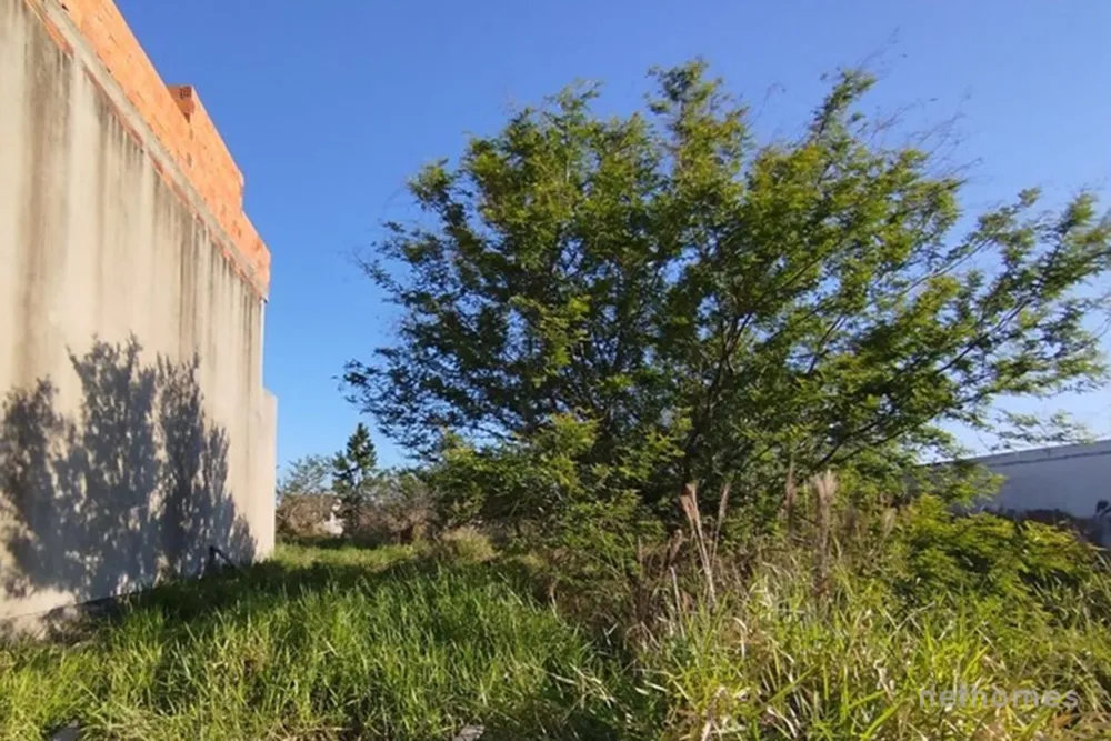 Terreno, 200 m² - Foto 3