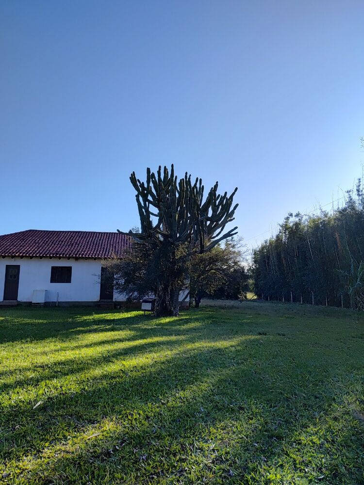 Sítio, 3 quartos, 400 m² - Foto 3