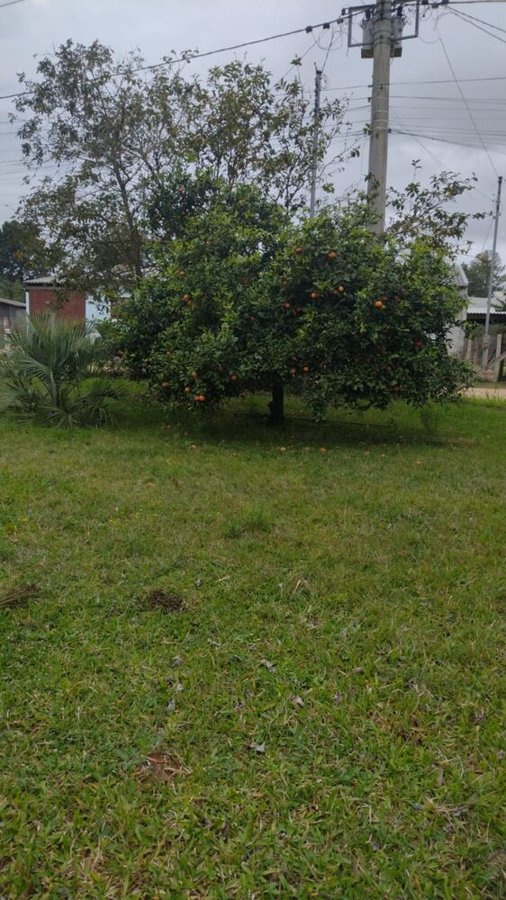 Sítio, 3 quartos, 400 m² - Foto 8