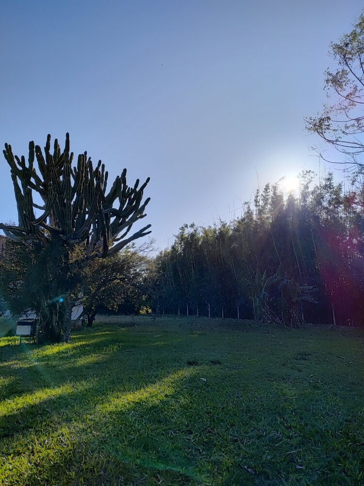 Sítio, 3 quartos, 400 m² - Foto 6