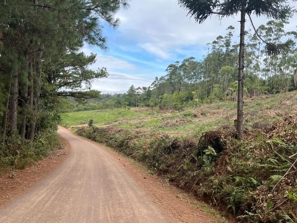 Terreno, 2 hectares - Foto 3