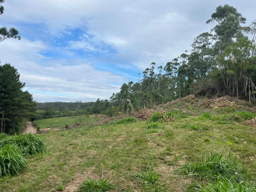 Terreno, 2 hectares - Foto 1