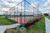 Terreno, 568 m² - Foto 4