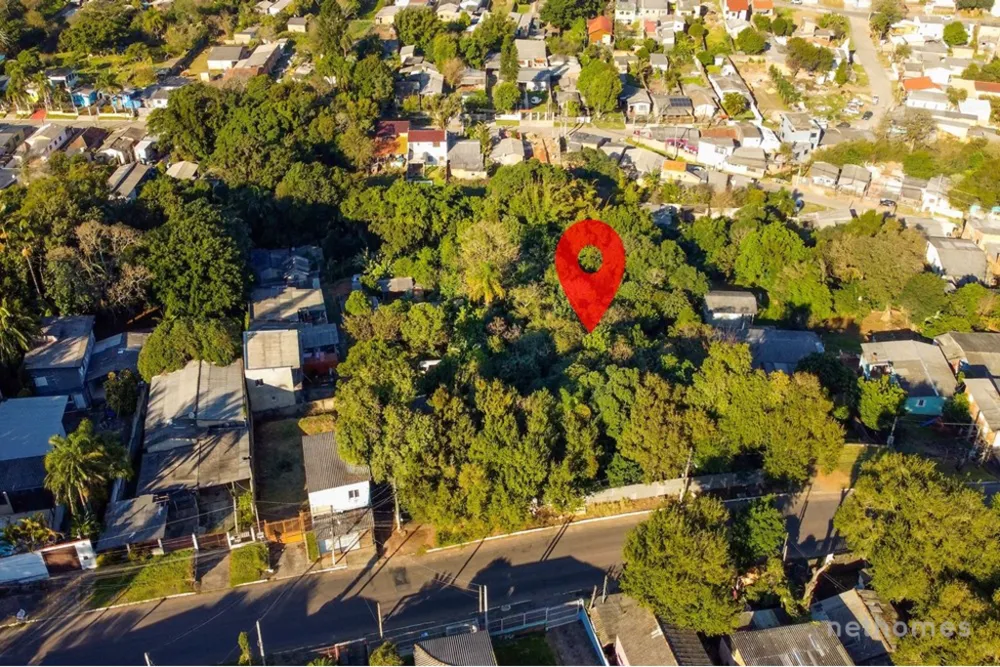 Terreno, 6250 m² - Foto 6