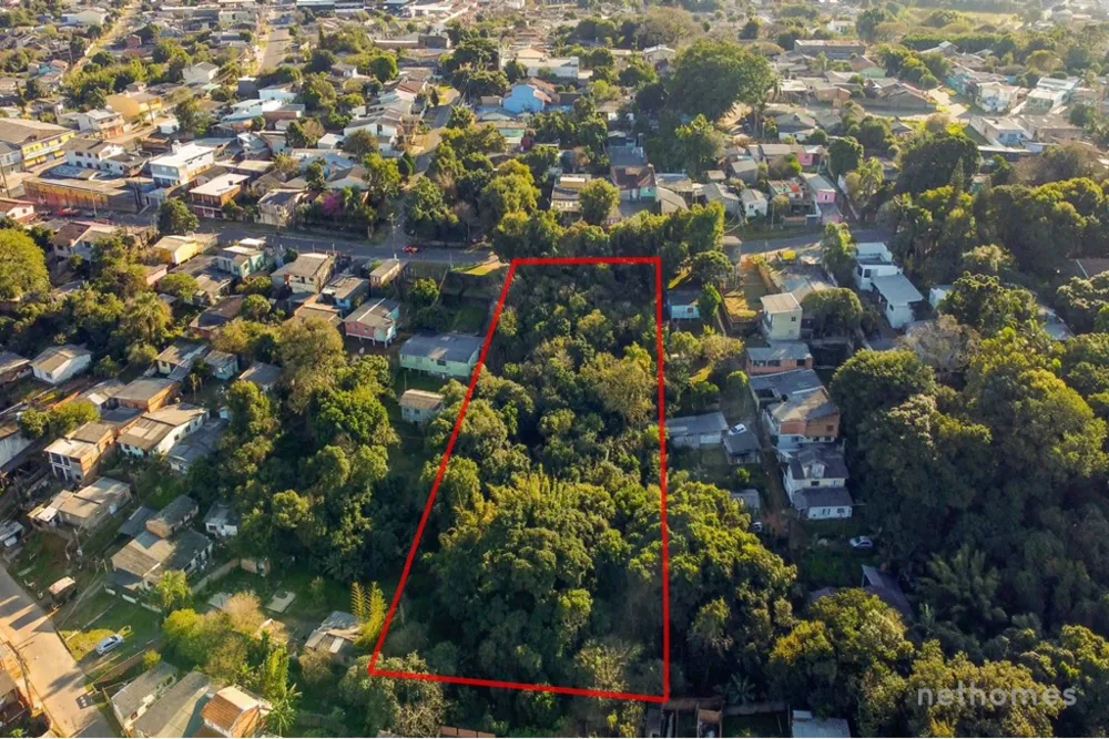 Terreno, 6250 m² - Foto 4