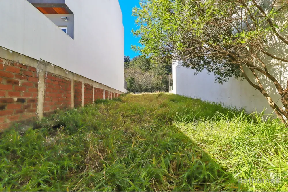 Terreno, 224 m² - Foto 6