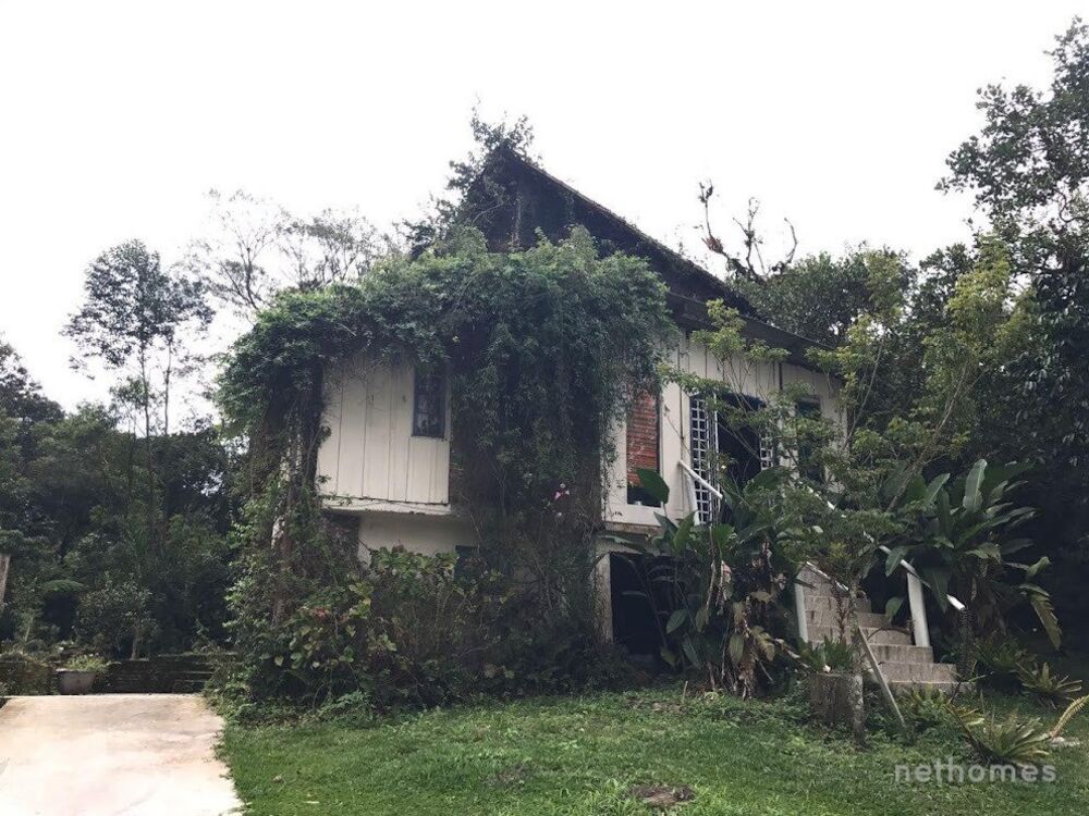 Terreno - Foto 6