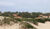 Terreno, 550 m² - Foto 4
