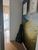 Apartamento, 4 quartos, 166 m² - Foto 7