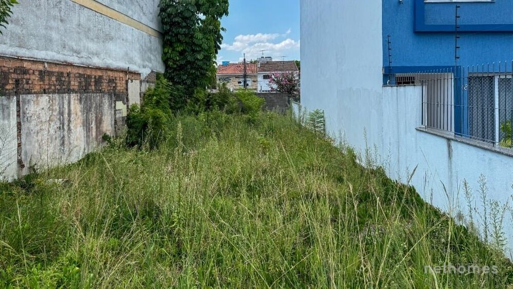 Terreno, 241 m² - Foto 3