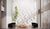 Apartamento, 1 quarto, 27 m² - Foto 2