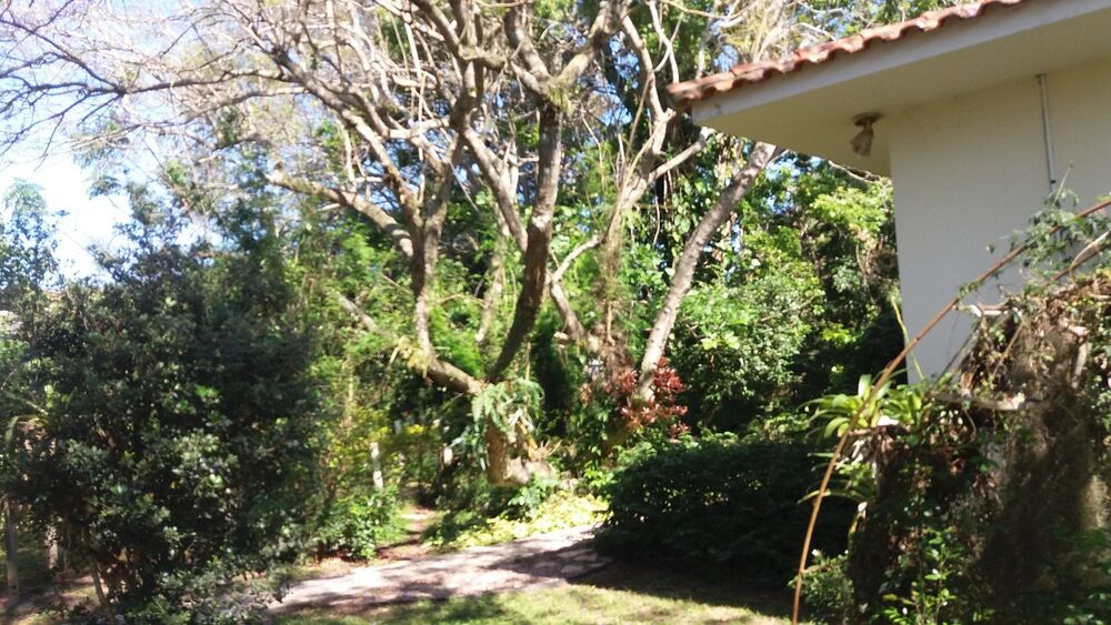 Casa, 5 quartos, 350 m² - Foto 2