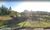 Terreno, 5 hectares - Foto 1