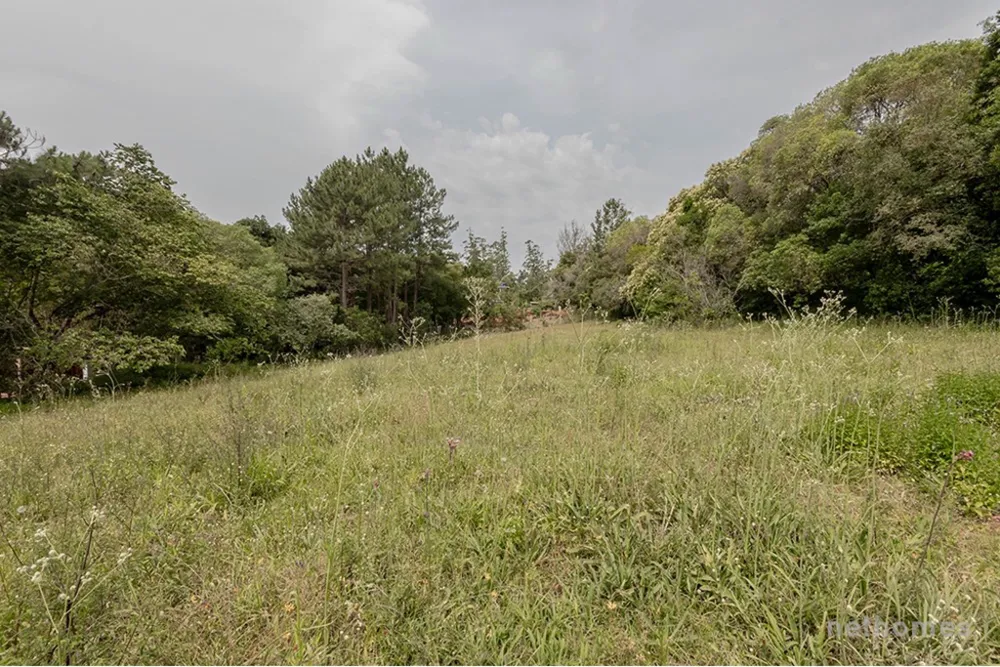 Terreno, 13191 m² - Foto 8