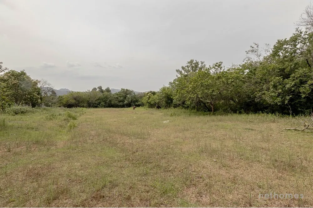 Terreno, 13191 m² - Foto 5