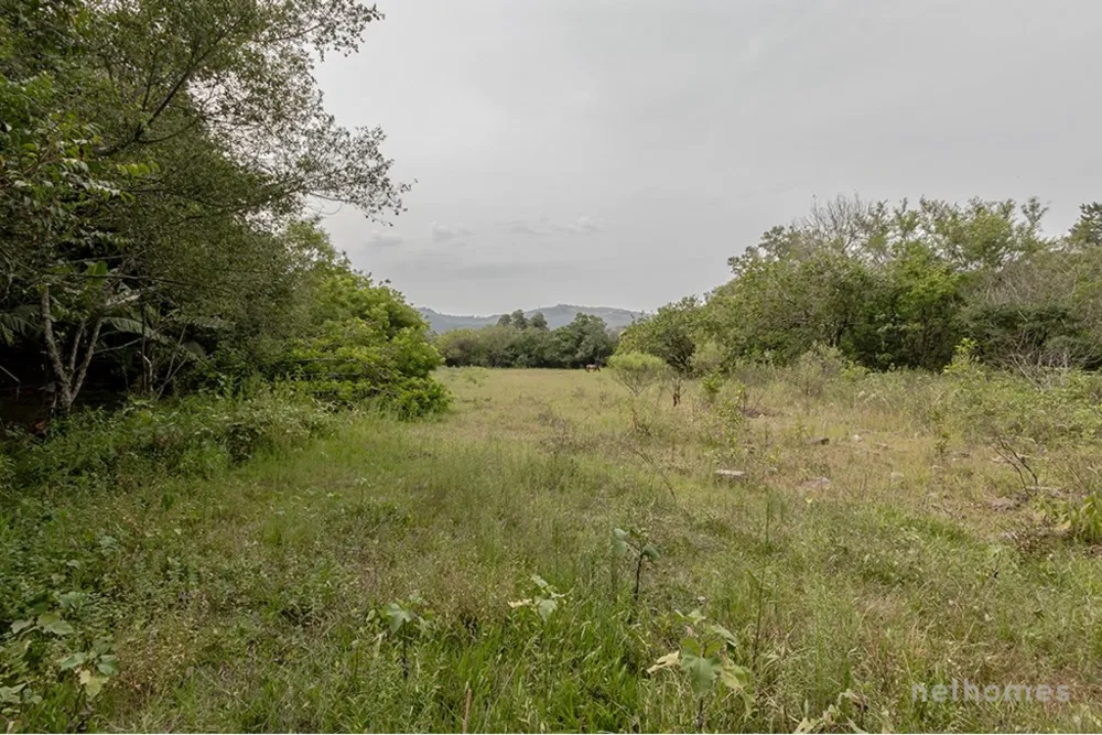 Terreno, 13191 m² - Foto 6