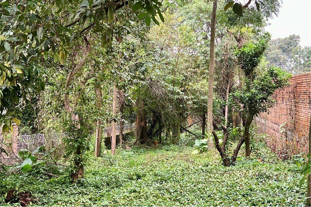 Terreno à venda, 1122m² - Foto 14