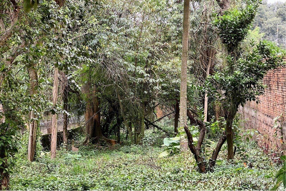 Terreno à venda, 1122m² - Foto 15