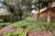 Terreno, 1122 m² - Foto 13