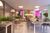 Apartamento, 3 quartos, 62 m² - Foto 10