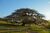 Terreno, 380 m² - Foto 5