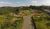 Terreno, 500 m² - Foto 7