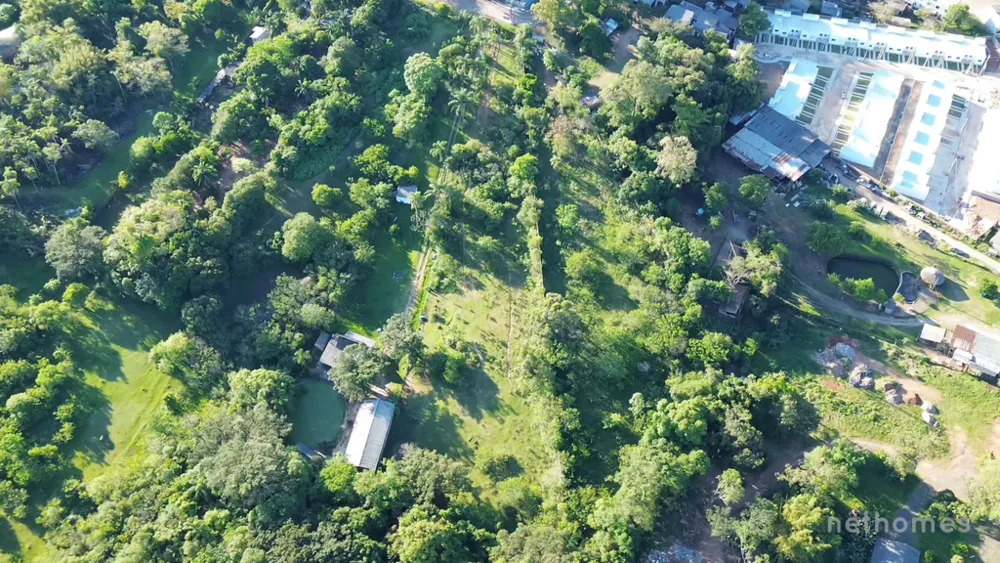 Terreno, 5250 m² - Foto 6