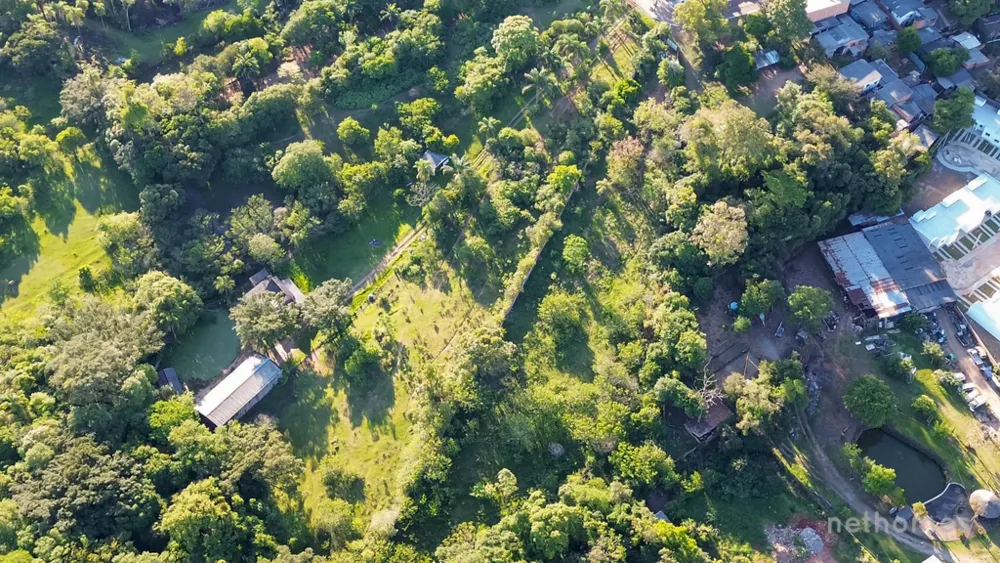 Terreno, 5250 m² - Foto 3