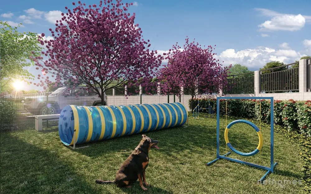 Apartamento, 3 quartos, 60 m² - Foto 11