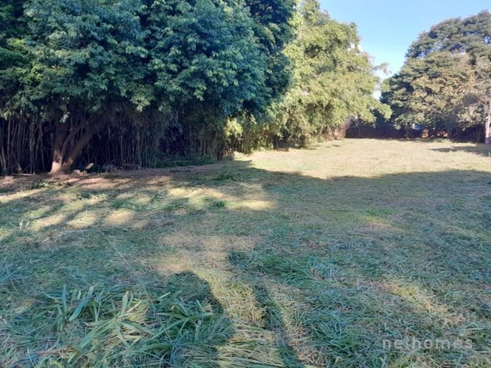 Terreno à venda, 1000m² - Foto 5